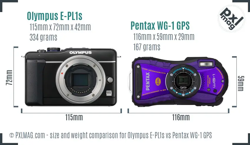 Olympus E-PL1s vs Pentax WG-1 GPS size comparison