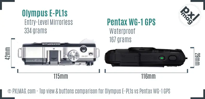 Olympus E-PL1s vs Pentax WG-1 GPS top view buttons comparison