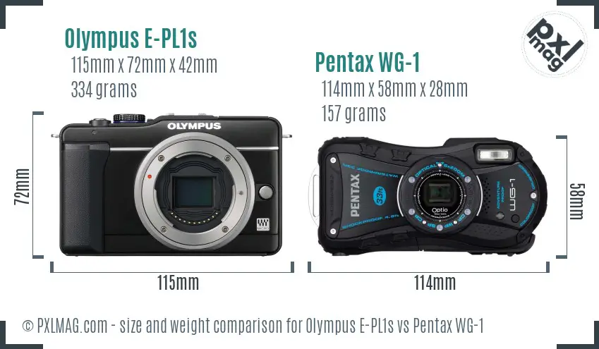 Olympus E-PL1s vs Pentax WG-1 size comparison