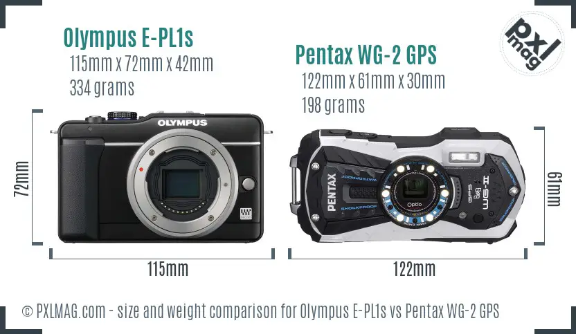Olympus E-PL1s vs Pentax WG-2 GPS size comparison