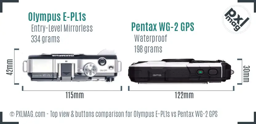 Olympus E-PL1s vs Pentax WG-2 GPS top view buttons comparison