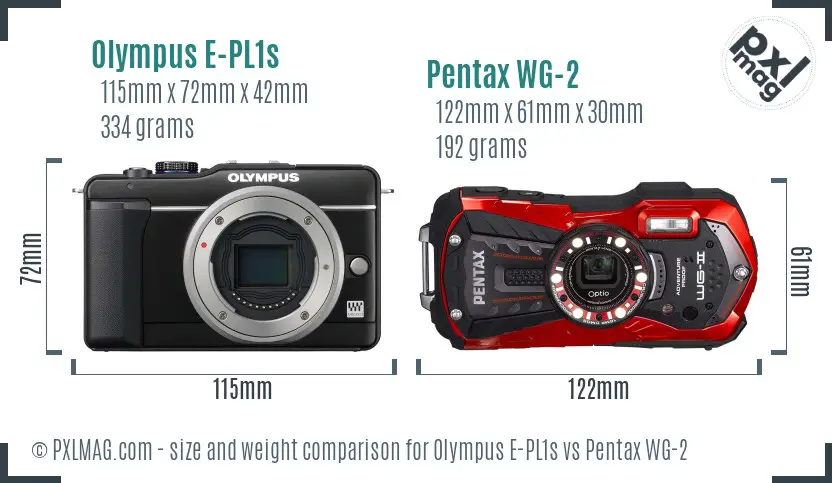 Olympus E-PL1s vs Pentax WG-2 size comparison