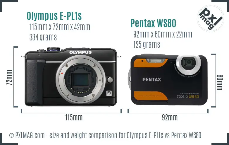Olympus E-PL1s vs Pentax WS80 size comparison