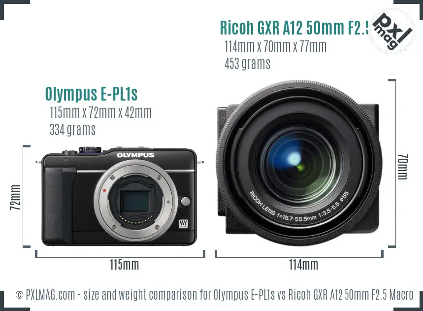 Olympus E-PL1s vs Ricoh GXR A12 50mm F2.5 Macro size comparison