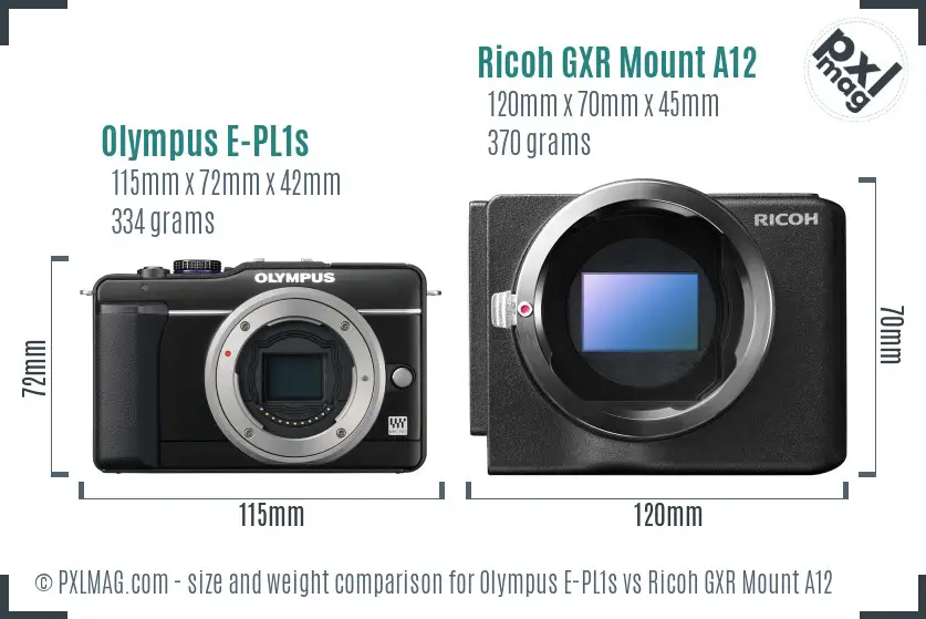 Olympus E-PL1s vs Ricoh GXR Mount A12 size comparison