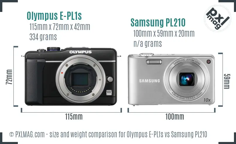 Olympus E-PL1s vs Samsung PL210 size comparison