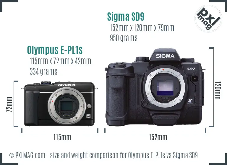 Olympus E-PL1s vs Sigma SD9 size comparison