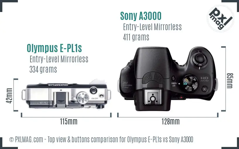 Olympus E-PL1s vs Sony A3000 top view buttons comparison