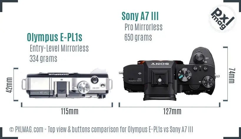 Olympus E-PL1s vs Sony A7 III top view buttons comparison