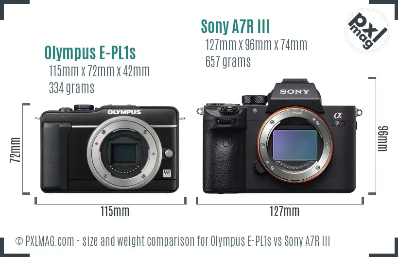 Olympus E-PL1s vs Sony A7R III size comparison