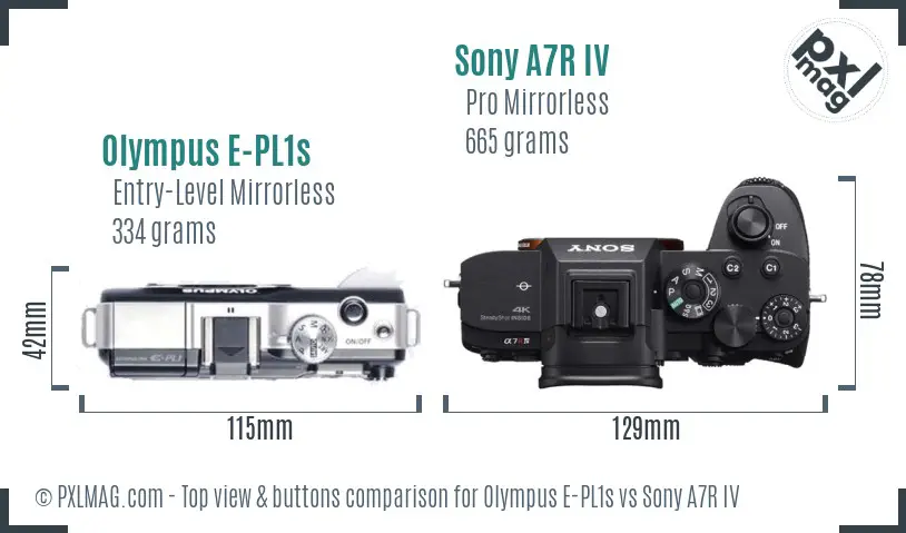 Olympus E-PL1s vs Sony A7R IV top view buttons comparison