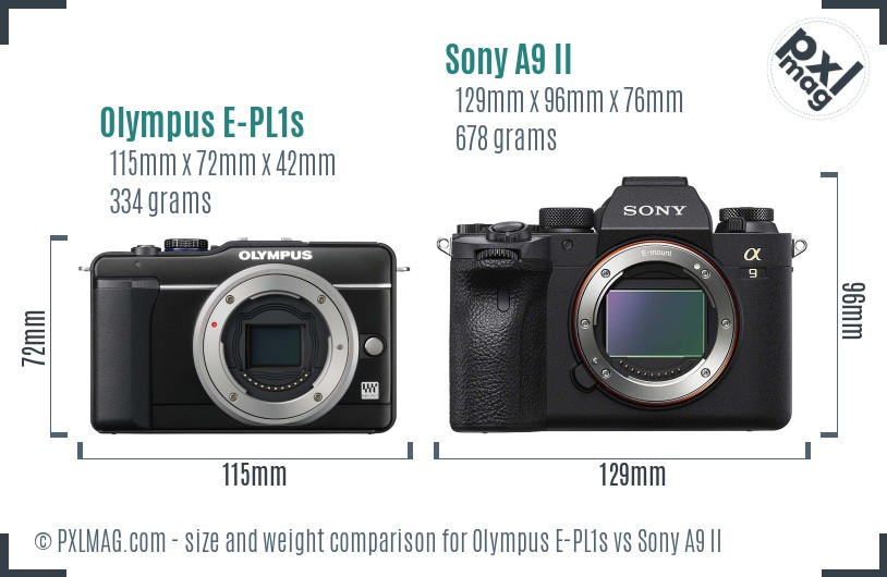 Olympus E-PL1s vs Sony A9 II size comparison