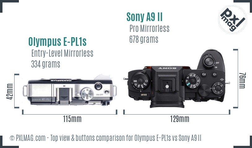 Olympus E-PL1s vs Sony A9 II top view buttons comparison