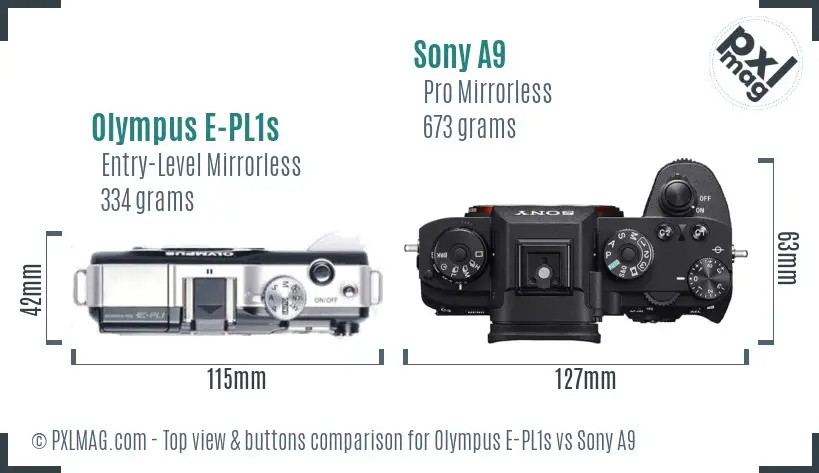 Olympus E-PL1s vs Sony A9 top view buttons comparison