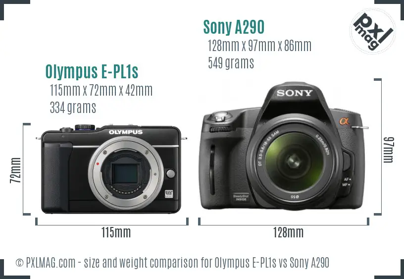 Olympus E-PL1s vs Sony A290 size comparison