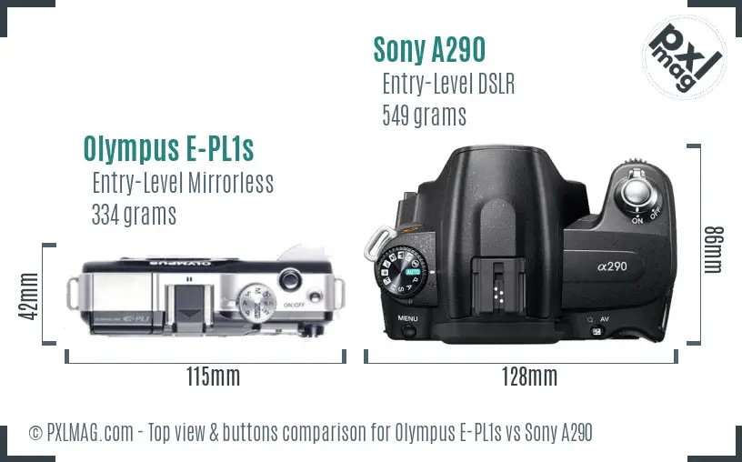 Olympus E-PL1s vs Sony A290 top view buttons comparison