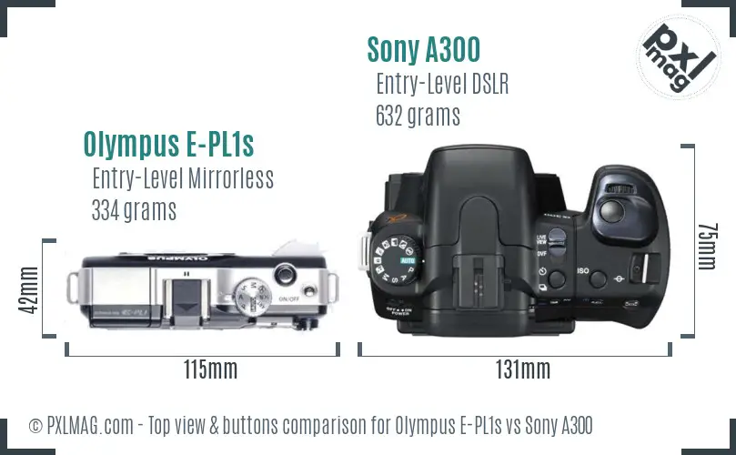 Olympus E-PL1s vs Sony A300 top view buttons comparison Olympus E-PL1s vs Sony A300 top view buttons comparison