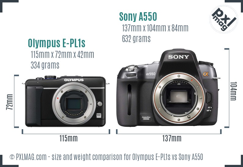 Olympus E-PL1s vs Sony A550 size comparison