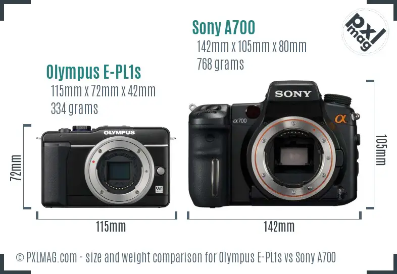 Olympus E-PL1s vs Sony A700 size comparison