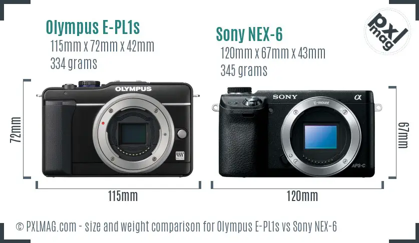 Olympus E-PL1s vs Sony NEX-6 size comparison