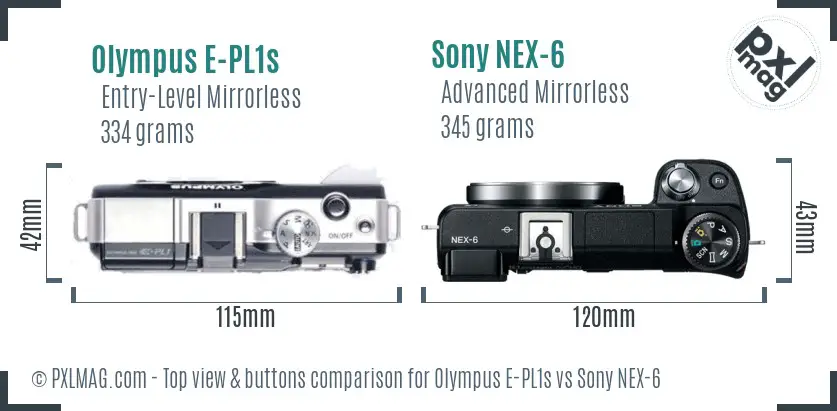 Olympus E-PL1s vs Sony NEX-6 top view buttons comparison