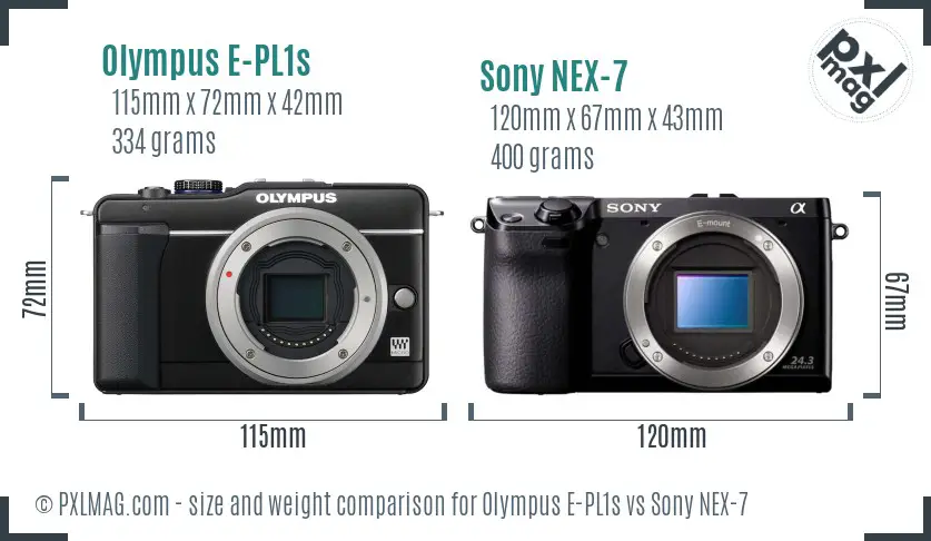 Olympus E-PL1s vs Sony NEX-7 size comparison