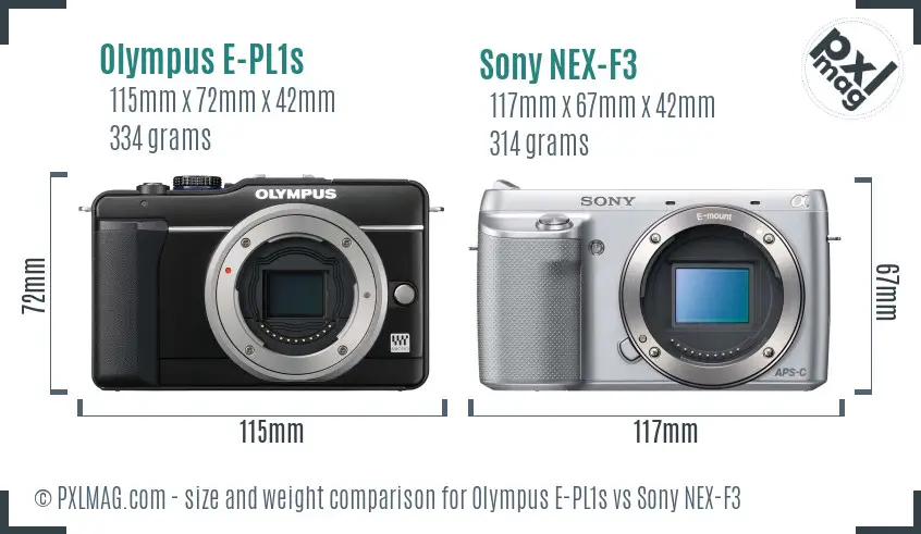 Olympus E-PL1s vs Sony NEX-F3 size comparison