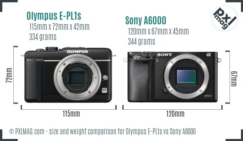 Olympus E-PL1s vs Sony A6000 size comparison