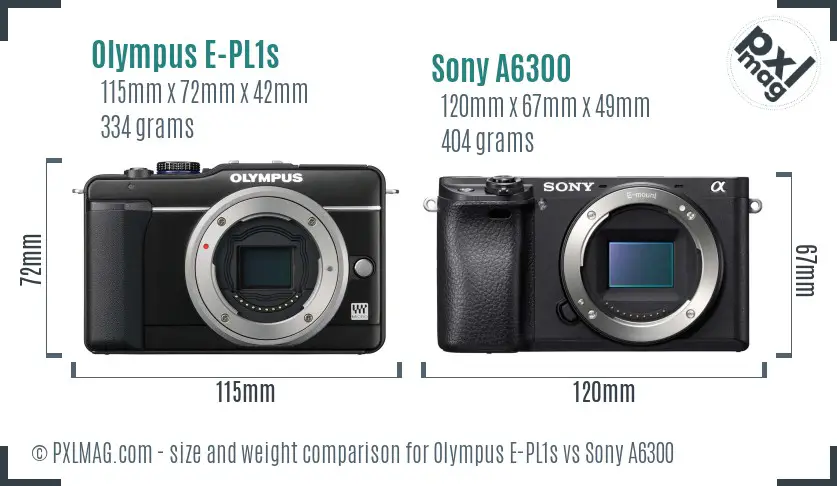 Olympus E-PL1s vs Sony A6300 size comparison