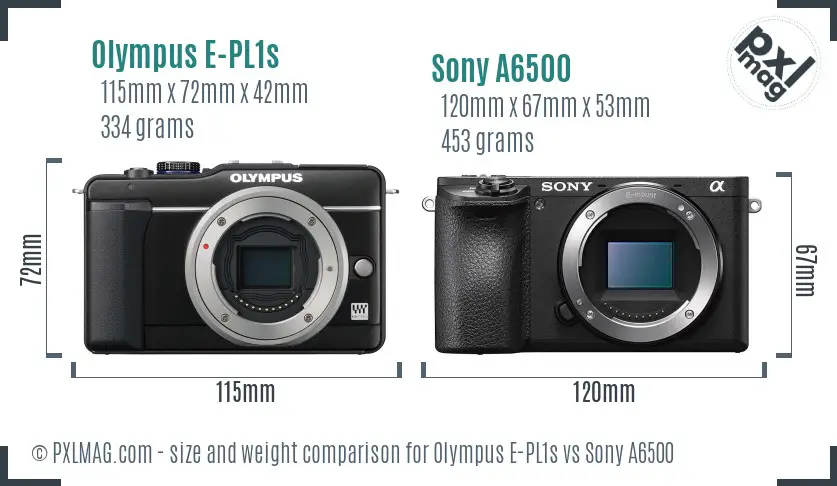 Olympus E-PL1s vs Sony A6500 size comparison