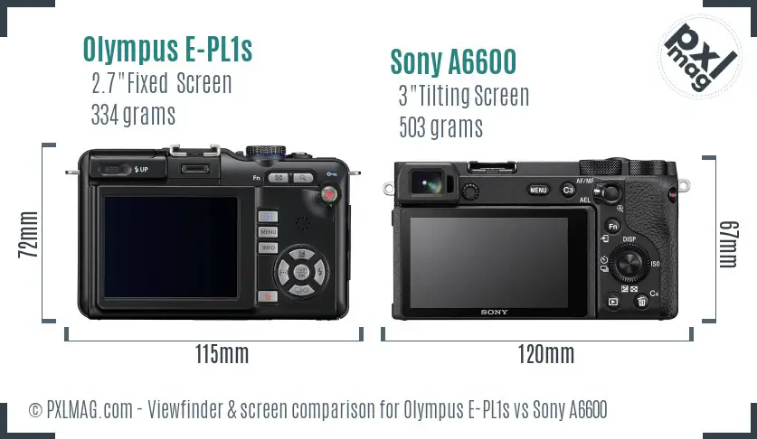 Olympus E-PL1s vs Sony A6600 Screen and Viewfinder comparison