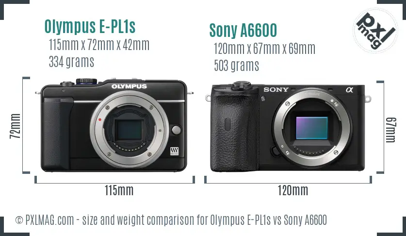 Olympus E-PL1s vs Sony A6600 size comparison