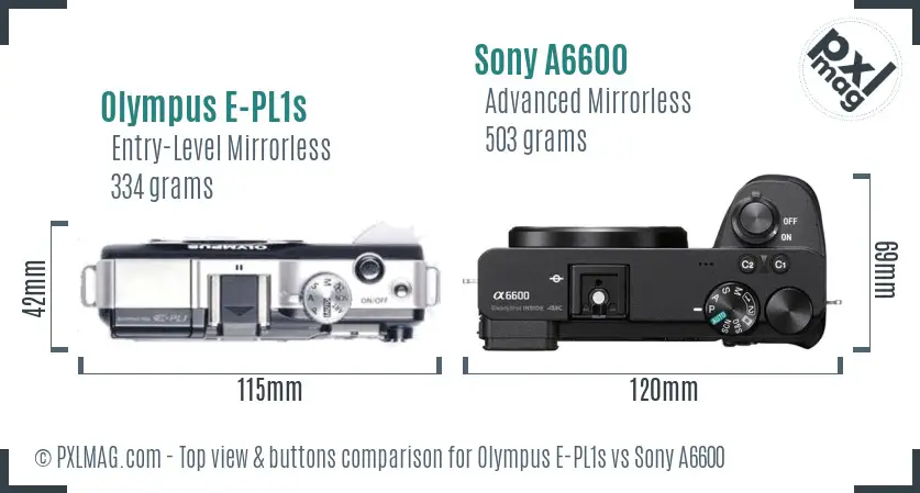 Olympus E-PL1s vs Sony A6600 top view buttons comparison