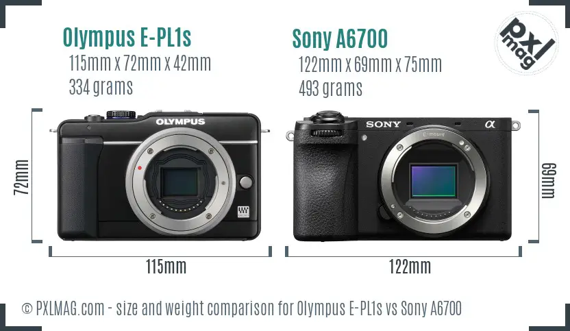 Olympus E-PL1s vs Sony A6700 size comparison