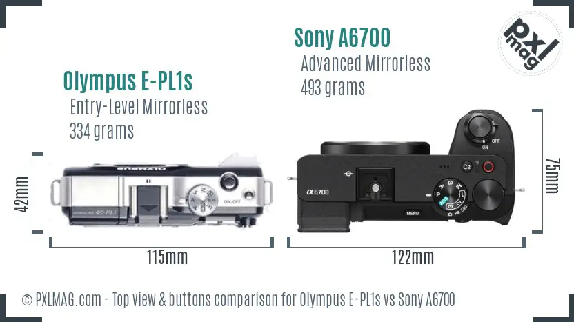 Olympus E-PL1s vs Sony A6700 top view buttons comparison