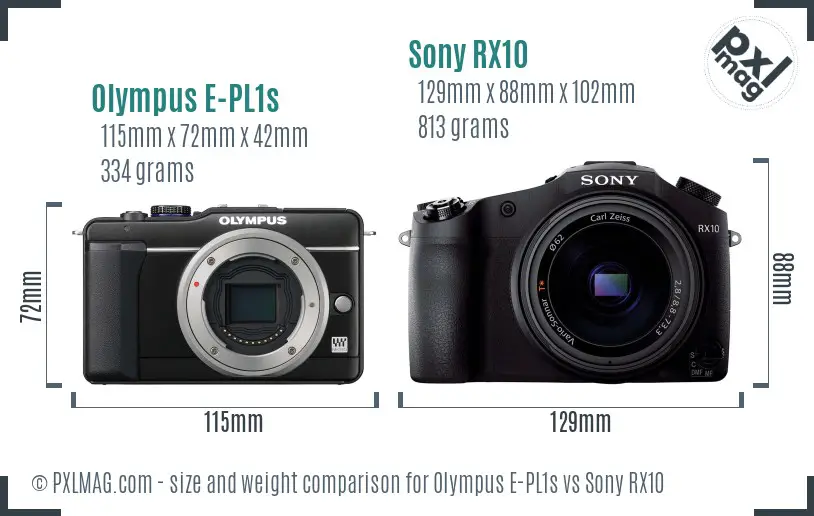 Olympus E-PL1s vs Sony RX10 size comparison