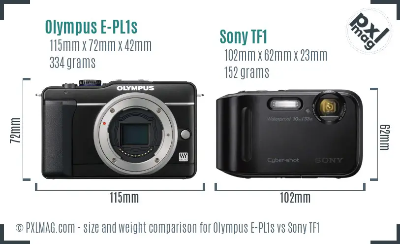 Olympus E-PL1s vs Sony TF1 size comparison