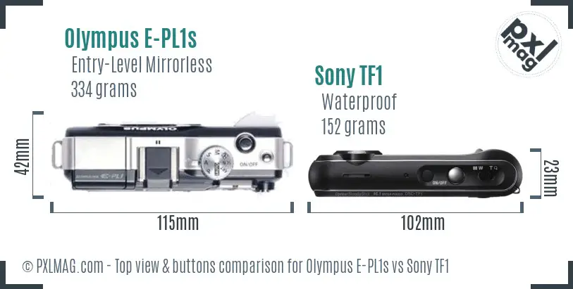 Olympus E-PL1s vs Sony TF1 top view buttons comparison