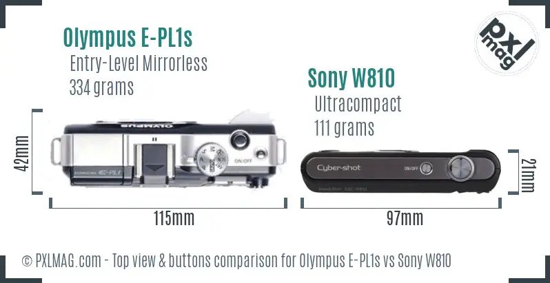 Olympus E-PL1s vs Sony W810 top view buttons comparison