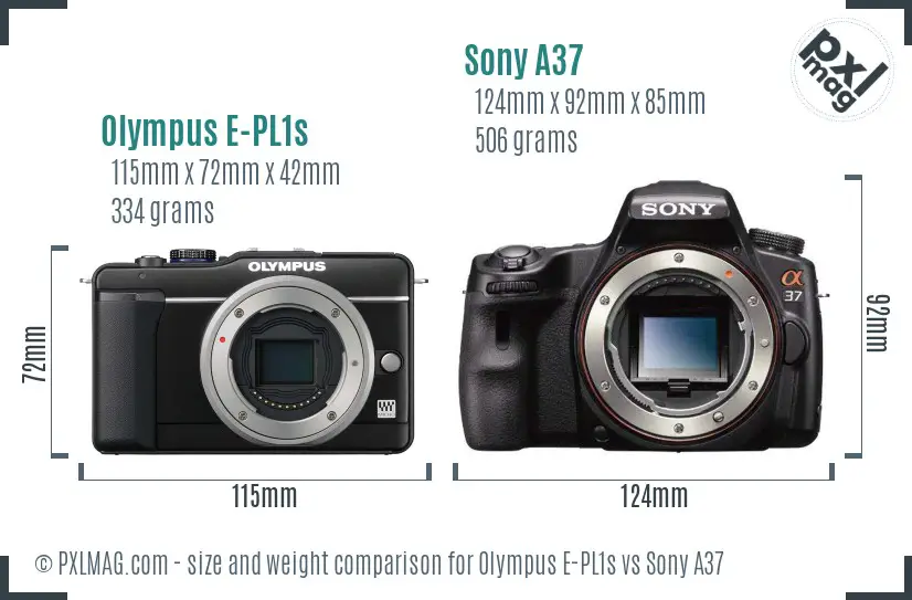 Olympus E-PL1s vs Sony A37 size comparison Olympus E-PL1s vs Sony A37 size comparison