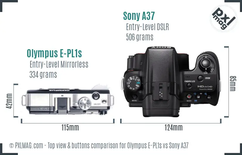 Olympus E-PL1s vs Sony A37 top view buttons comparison