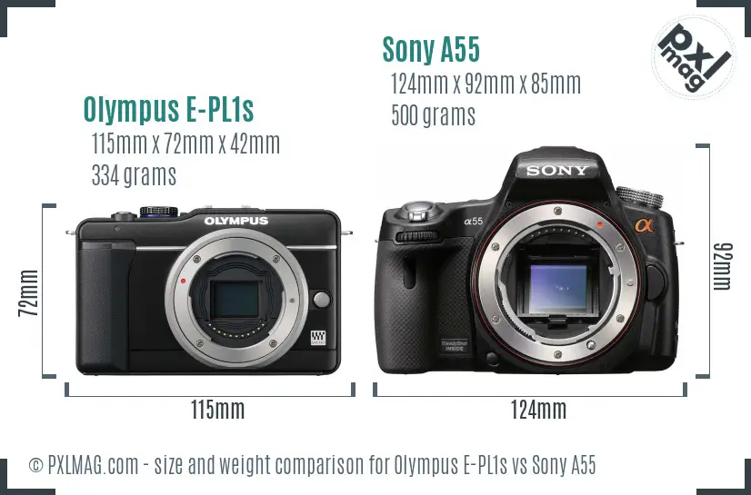 Olympus E-PL1s vs Sony A55 size comparison