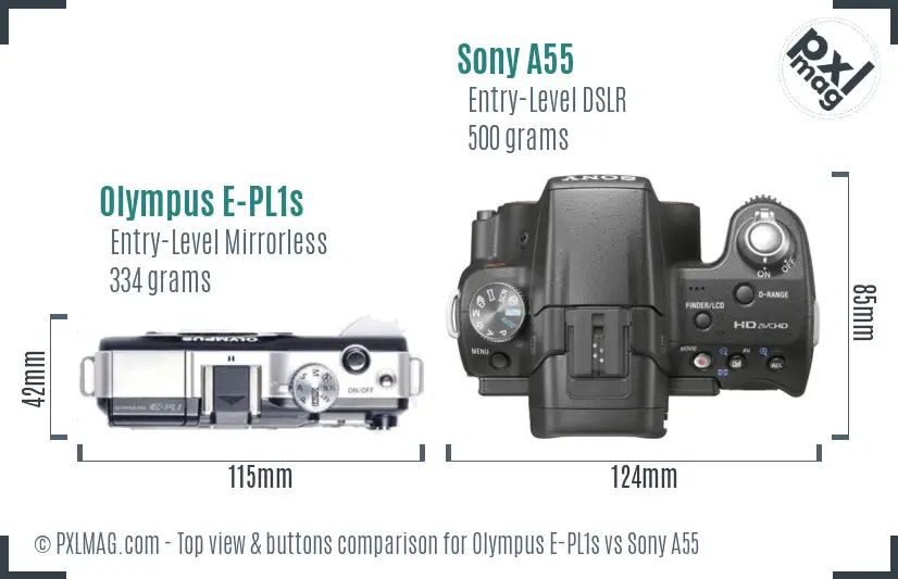 Olympus E-PL1s vs Sony A55 top view buttons comparison