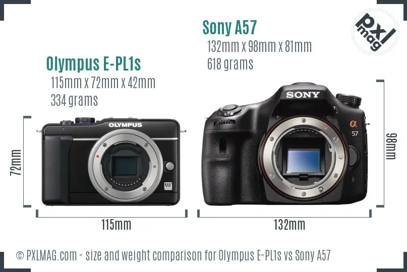 Olympus E-PL1s vs Sony A57 size comparison Olympus E-PL1s vs Sony A57 size comparison
