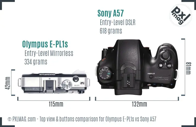 Olympus E-PL1s vs Sony A57 top view buttons comparison Olympus E-PL1s vs Sony A57 top view buttons comparison