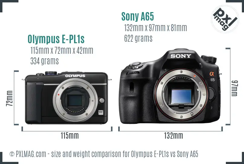 Olympus E-PL1s vs Sony A65 size comparison