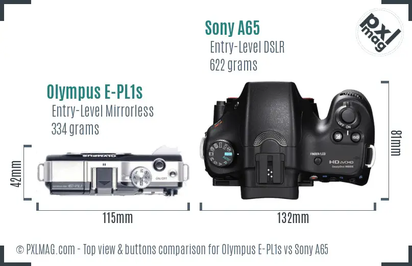 Olympus E-PL1s vs Sony A65 top view buttons comparison