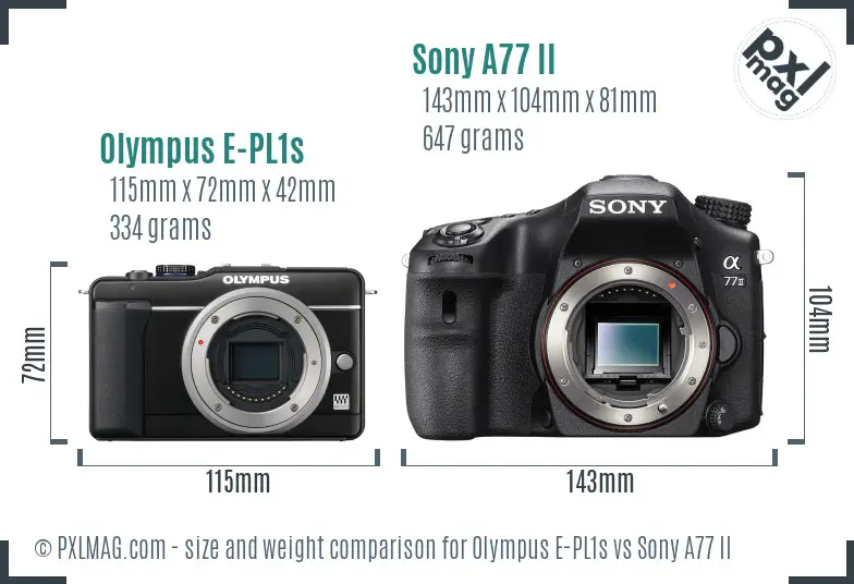 Olympus E-PL1s vs Sony A77 II size comparison