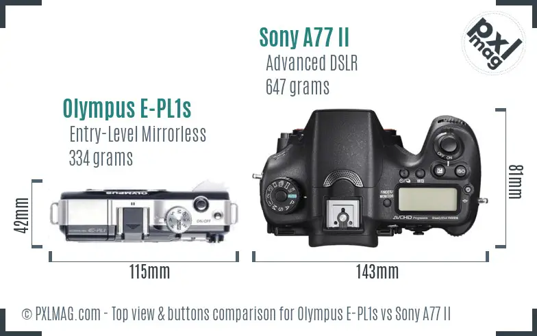 Olympus E-PL1s vs Sony A77 II top view buttons comparison