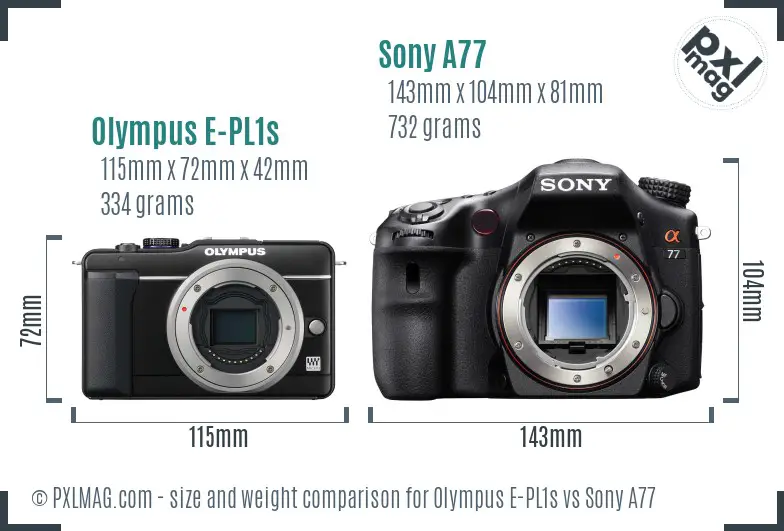 Olympus E-PL1s vs Sony A77 size comparison